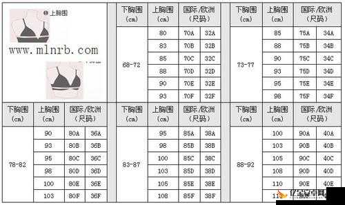 亚洲一码和欧洲二码的尺码区别差异详解：全面对比与深入剖析